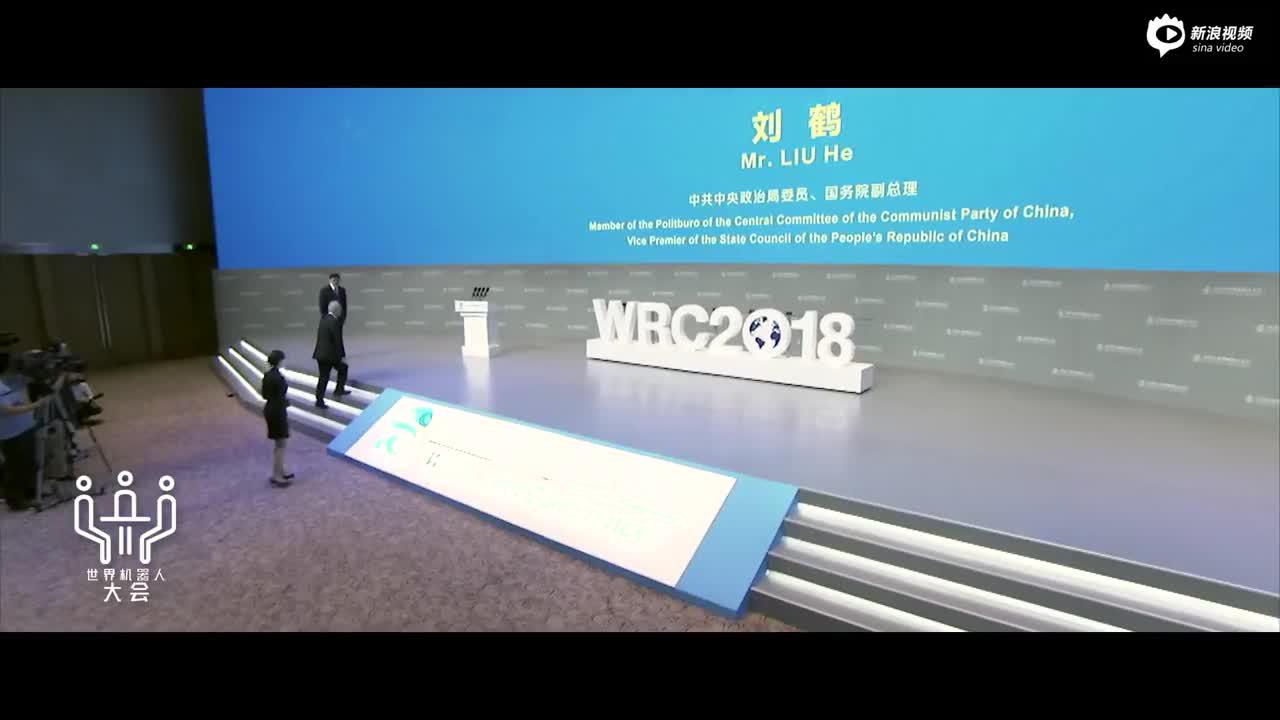 2019世界机器人大会视频