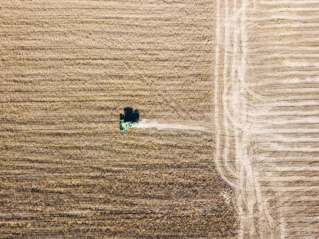 ▲资料图片：这是2018年10月19日，从空中俯瞰俄罗斯犹太自治州比罗比詹市附近的大豆农场。（新华社记者 张若玄 摄）