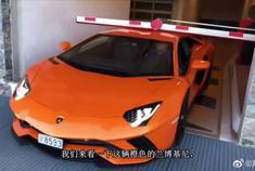 兰博基尼的车身有多高？网友：“连停车杆都拦不住它吗？”