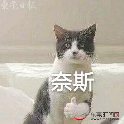 奈斯/奶思 解释:英文