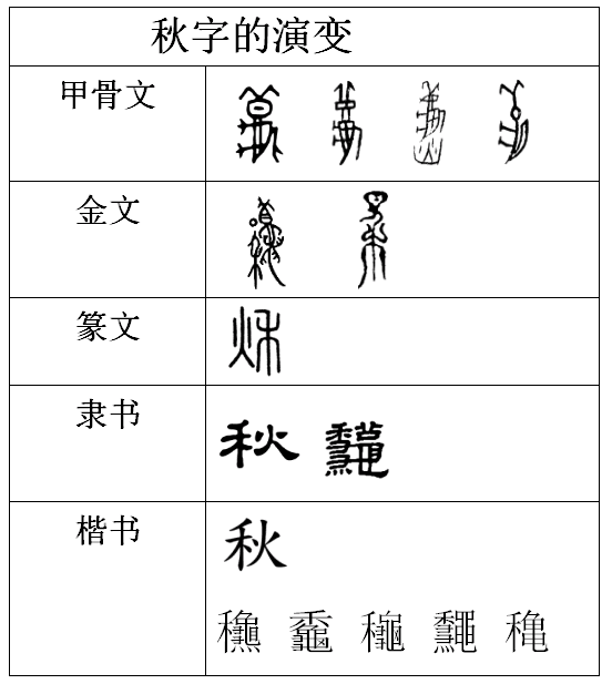 锐解汉字 之 秋 秋已立 天未凉