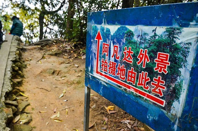 国内因《阿凡达》而火爆的景区，却因管理不规范而被游客们拉黑