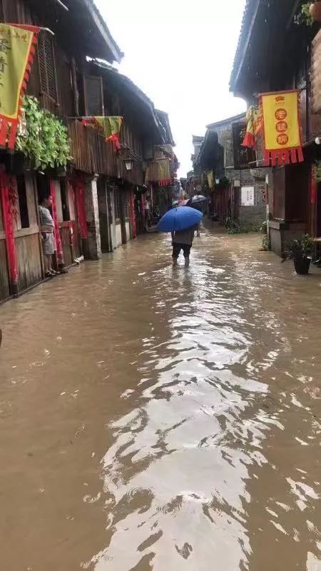 8月10日，紫阳街被洪水淹没。受访者供图
