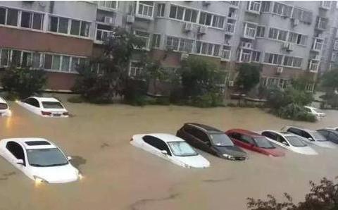 为啥很多车主看到自己的车被泡，都不去开走？老司机：傻子才去！