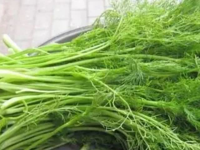 癌症的“特效药”被找到了，平时多吃这4物，癌细胞或悄悄远离你