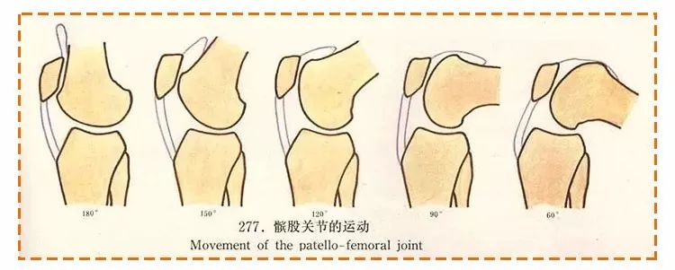 慢跑or快走哪个对身体好？利弊都在这了，选错很伤膝盖！