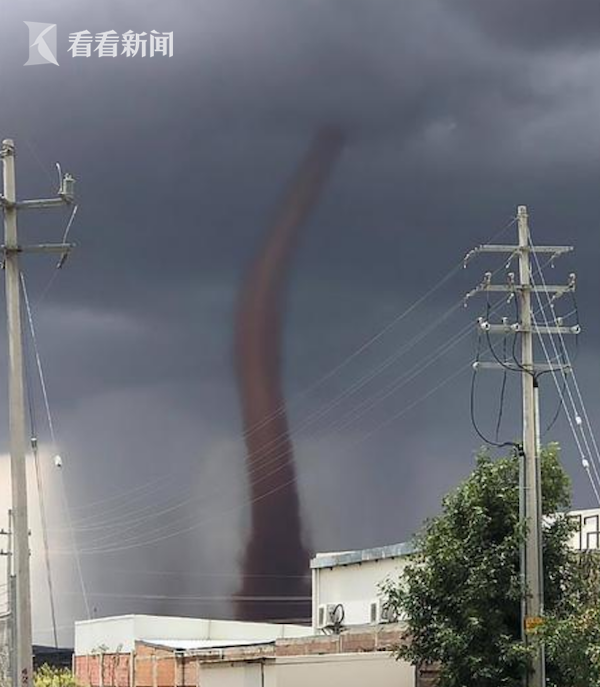 迪纳摩魔术-乐鱼app(leyu)官方网站-乐鱼官网