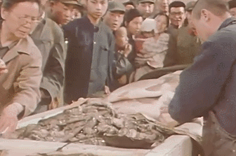 40年前的禁片,没想到今天在央视看到了 40年前的禁片,没想到今天在央视看到了