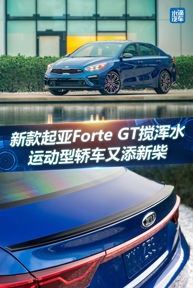 新款起亚Forte GT搅浑水 运动型轿车又添新柴