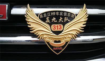 山猫纵队你好,我是轰九大队!