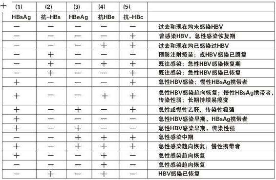 抗病毒治疗有标准,认清指标变化,防治乙肝小三阳才科学