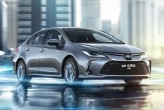 【车现场】为爱行我路 卡罗拉全新绽放