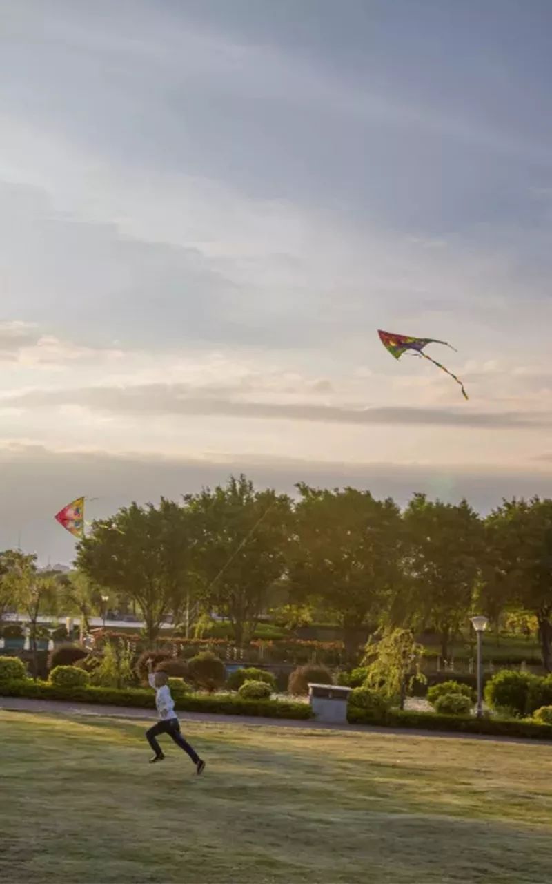 打造最纯粹的公牛文化社区