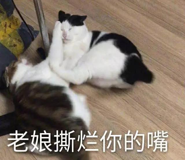 姜丹尼尔和朴志效谈个恋爱,有必要和粉丝道歉吗? 姜丹尼尔和朴志效谈个恋爱,有必要和粉丝道歉吗?