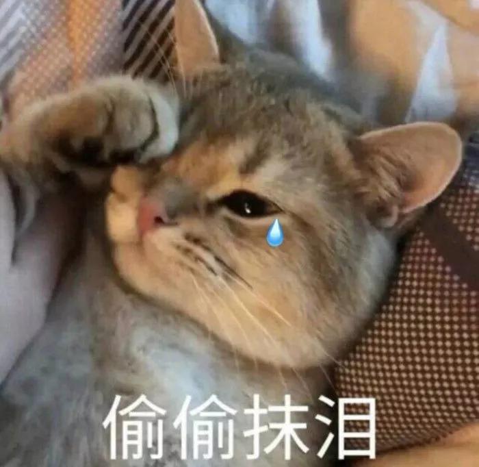 靠恋情上热搜的蒋劲夫,真令人唏嘘! 靠恋情上热搜的蒋劲夫,真令人唏嘘!