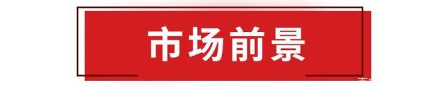 这台国六新车帅气好看还带自动驾驶,顶配才10.99万?