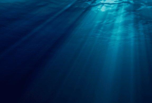 深海恐惧症测试图逆向图压抑着脑神经不敢喘气