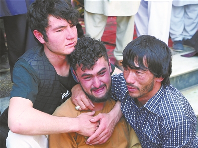 2019阿富汗gdp_阿富汗猎犬