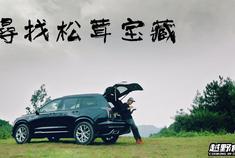 驾新美式大SUV 凯迪拉克XT6进山寻菌，发现大松茸