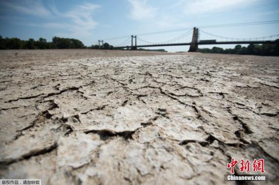 当地时间2019年7月24日,法国西部Montjean-sur-Loire,由于夏季热浪侵袭,卢瓦尔河水位持续下降,河床干涸龟裂。