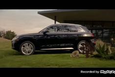 2019 奧迪Audi Q5 運\動型多用途車