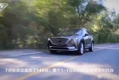 长4955mm的中大型SUV，上市时曾扬言超越汉兰达，如今却无人问津