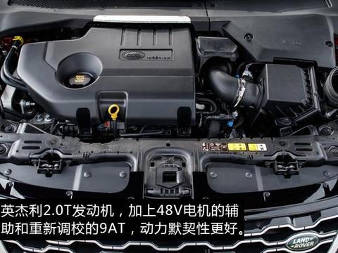 全新极光告诉我们，年轻人想要什么样的豪华SUV？