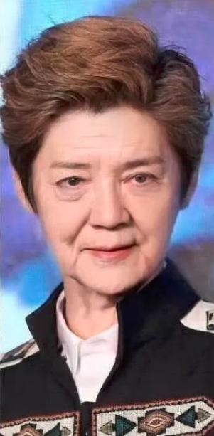 明星变老以后什么样,岳云鹏竟然变成帅老头,林志颖终于"老了"