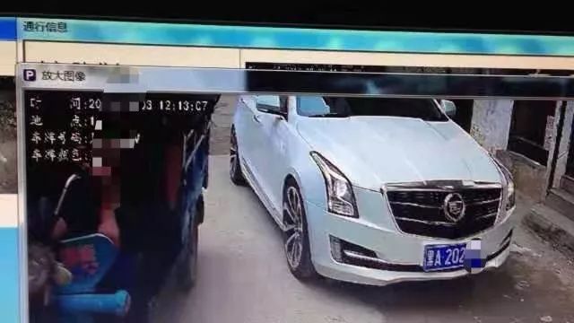 诡异!哈尔滨这小区进出这么多车,咋都挂一个牌?