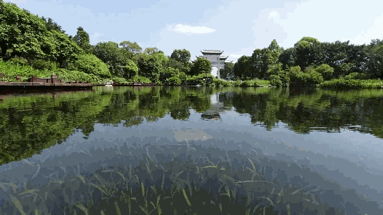 研学之旅 | 有“游”又能“学”，激发自然教育新活力