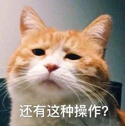 诡异!哈尔滨这小区进出这么多车,咋都挂一个牌?