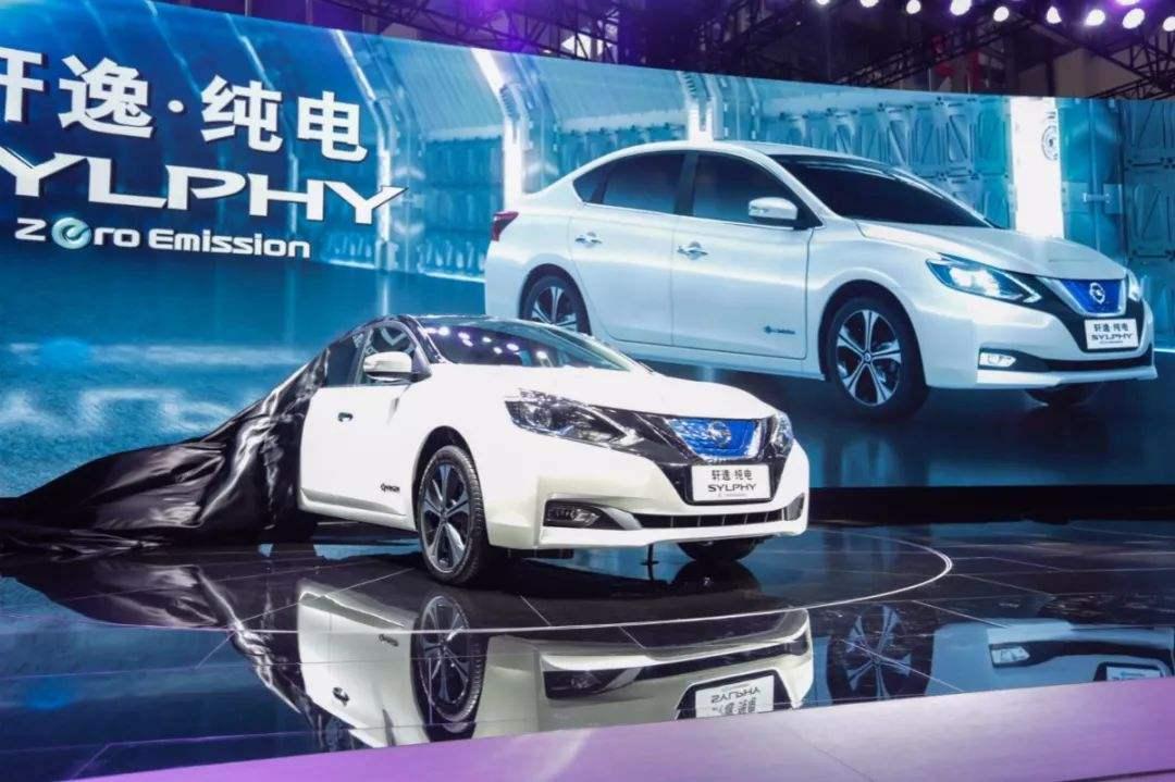 二师兄玩车 |国内被抛弃,国外火翻天,全球新能源车销冠何遭此运