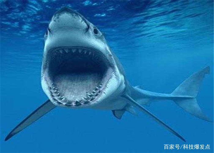 10000米的深海传出“悲鸣声”，科学家找到原因却难以解决！