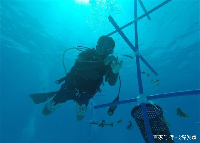 10000米的深海传出“悲鸣声”，科学家找到原因却难以解决！