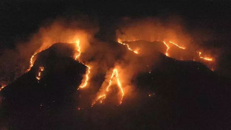 8月17日在巴西托坎廷斯州拍摄的亚马孙雨林中一处燃烧的林区。新华社发 迪达·桑帕约 摄