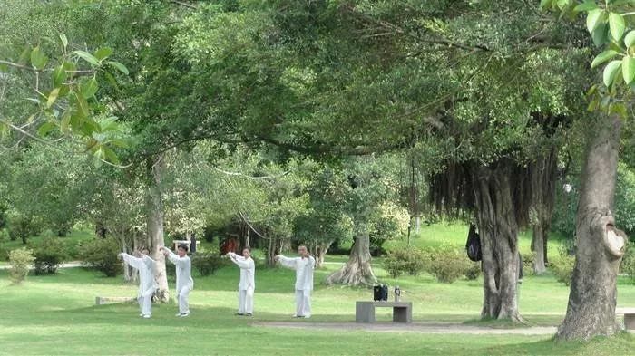 老外看深圳:40年发展成这样也太牛了吧 老外看深圳:40年发展成这样也太牛了吧
