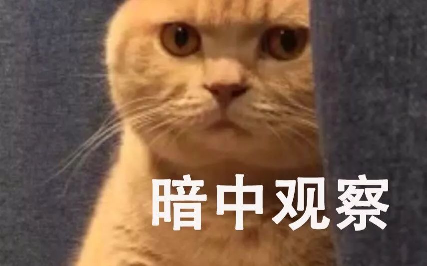 纽约时报,推特 纽约时报,推特