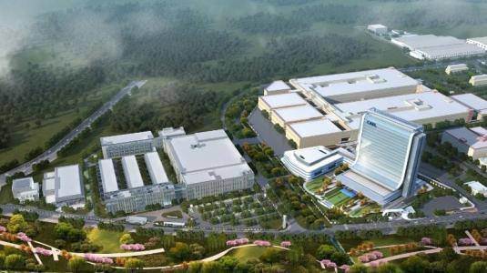 宁德时代半年营收202亿,“独角兽”如何应对丛林法则?