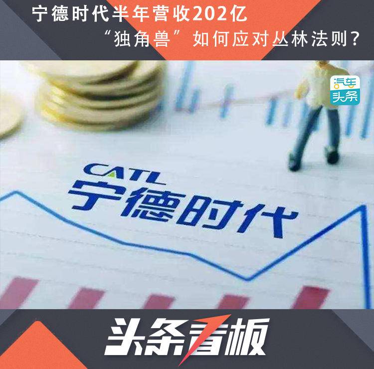 宁德时代半年营收202亿,“独角兽”如何应对丛林法则?