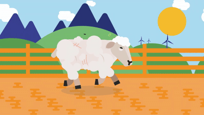 绵羊因不想剃毛而离家出走6年,回家时成了一条行走的羊毛被