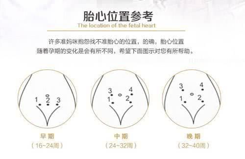 孕妇如何自己听胎心不同孕期胎心位置正常胎心率次数很实用