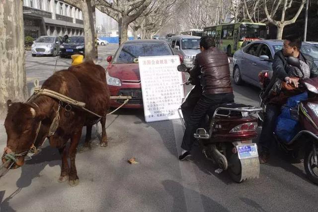 法系车或将迎来退市倒计时？半年销量不如朗逸俩月多