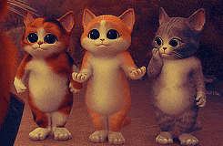 2.5亿人头顶大事！脱发了还能不能长出来？全是干货！