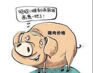 豪华车暴涨、平民车普降!中国人是买不起车还是不想买车?