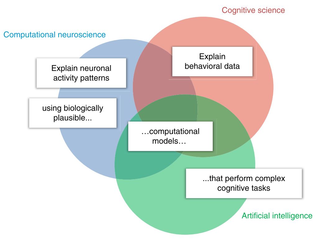 Nature Neuro人类复杂行为背后存在基本的数学和计算原理吗？计算认知神经科学在寻找答案