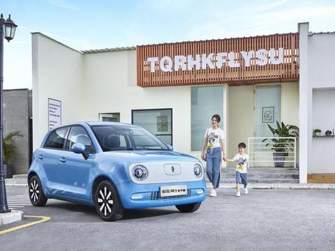 解决带娃出行的“用车痛点”！欧拉R1亲子版上市补贴后仅7.38万