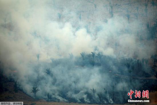 【蜗牛棋牌】亚马孙“野火烧不尽” 专家称复原可能耗时几百年