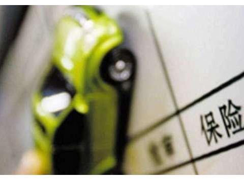 一年不出险，车主如何回本？交警温馨提示，用这几种服务就行