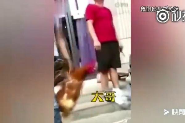 凶残至极，兰博基尼Sinistro概念车。妇女。转