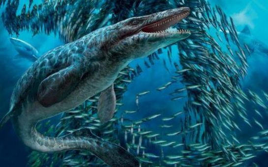 恐龙在海洋里也称霸沧龙比霸王龙还大